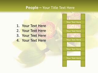 Di Cu Ion Itting Toon PowerPoint Template