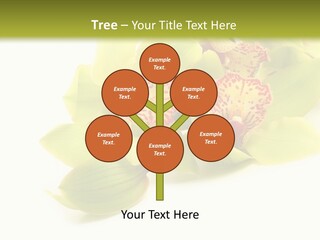 Di Cu Ion Itting Toon PowerPoint Template
