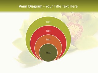 Di Cu Ion Itting Toon PowerPoint Template