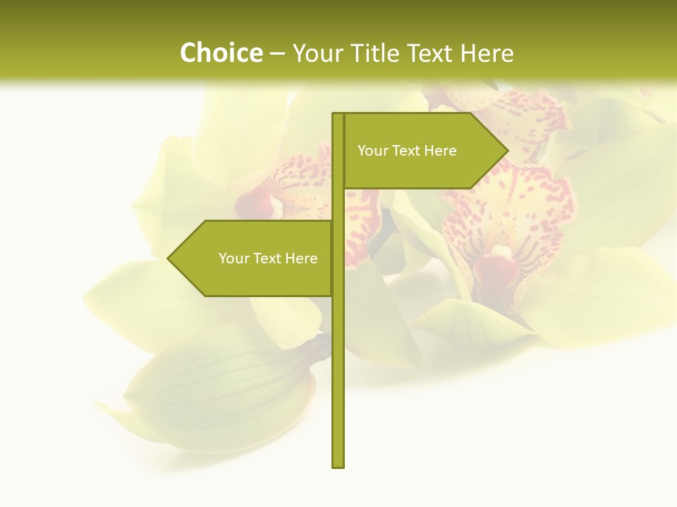 Di Cu Ion Itting Toon PowerPoint Template