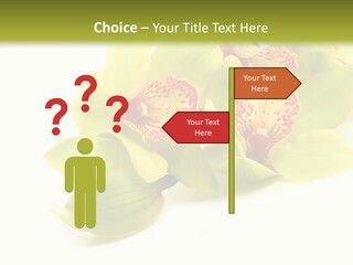 Di Cu Ion Itting Toon PowerPoint Template