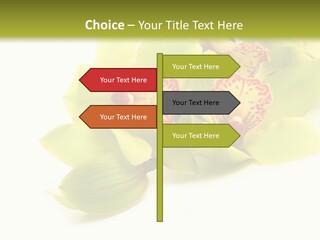 Di Cu Ion Itting Toon PowerPoint Template