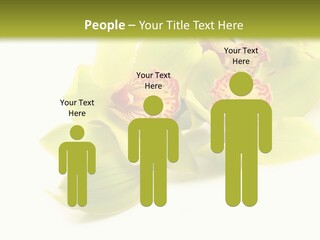 Di Cu Ion Itting Toon PowerPoint Template