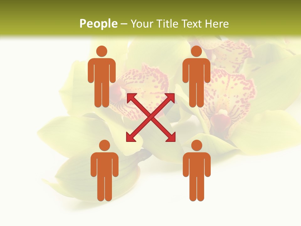 Di Cu Ion Itting Toon PowerPoint Template