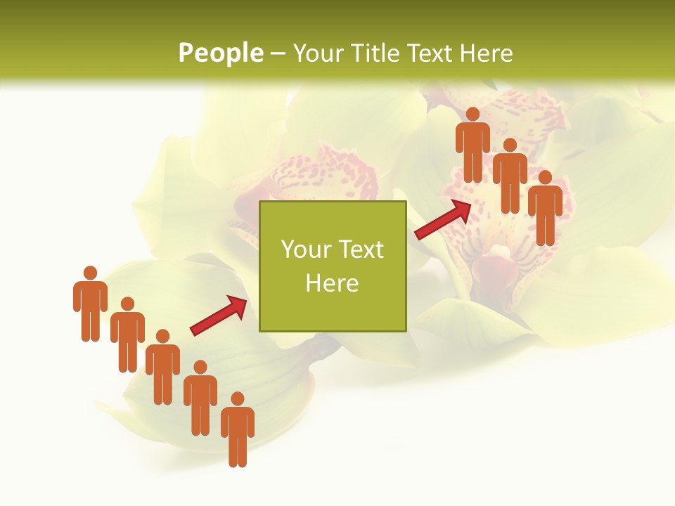 Di Cu Ion Itting Toon PowerPoint Template