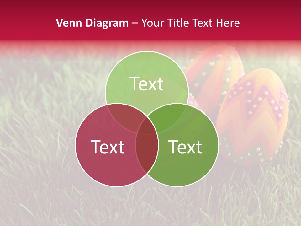 Decoration Group Color PowerPoint Template