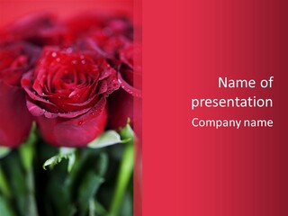 Petal Romantic Beauty PowerPoint Template