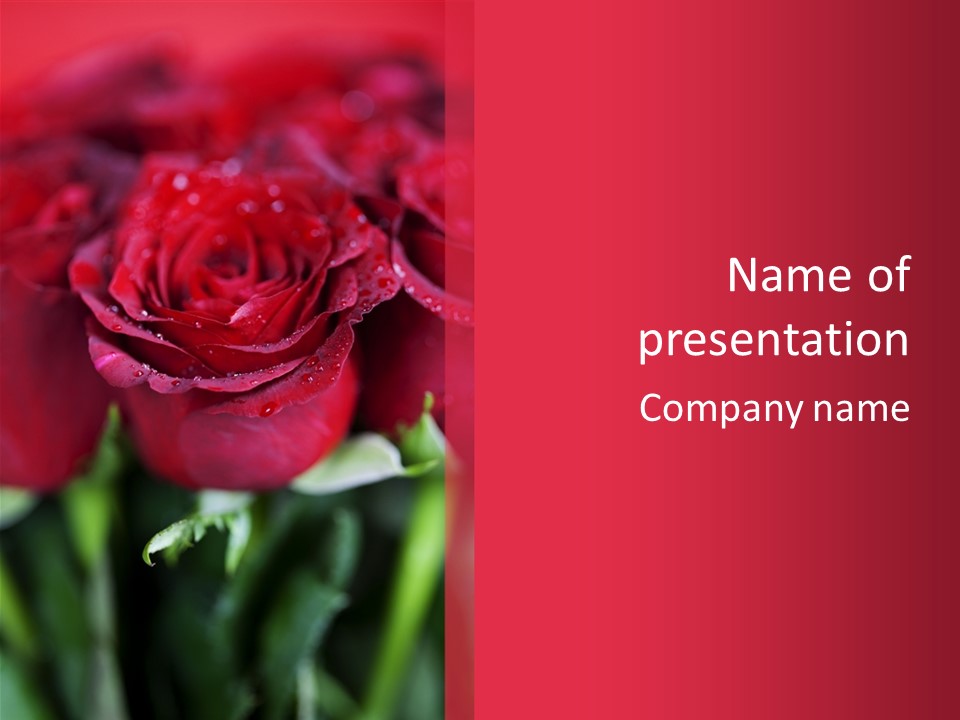 Petal Romantic Beauty PowerPoint Template