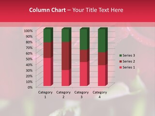 Petal Romantic Beauty PowerPoint Template