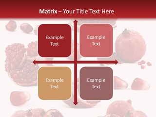 Half Core Arils PowerPoint Template
