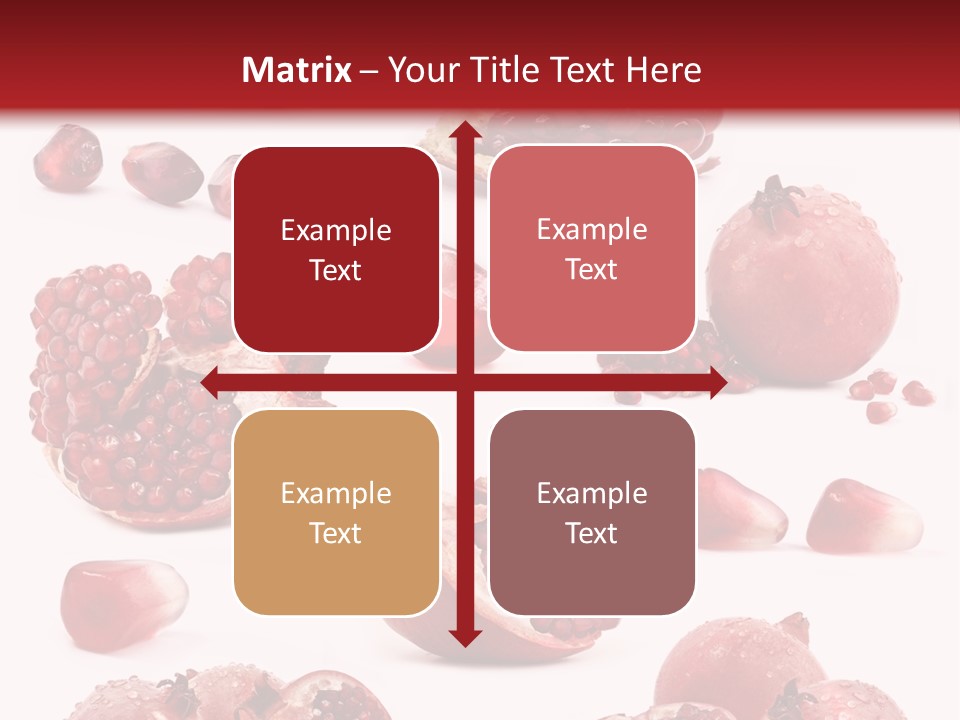 Half Core Arils PowerPoint Template