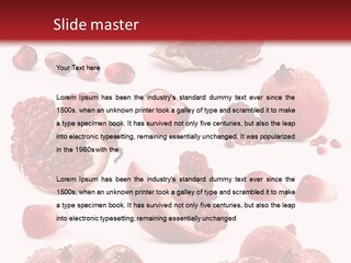 Half Core Arils PowerPoint Template