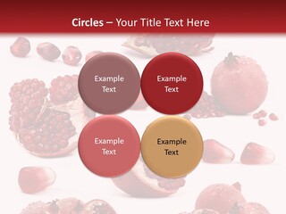 Half Core Arils PowerPoint Template