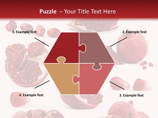 Half Core Arils PowerPoint Template