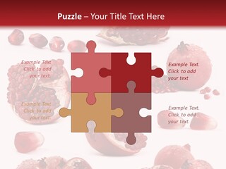 Half Core Arils PowerPoint Template