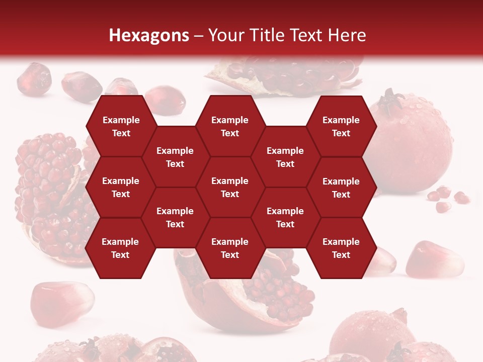 Half Core Arils PowerPoint Template