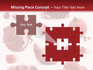 Half Core Arils PowerPoint Template