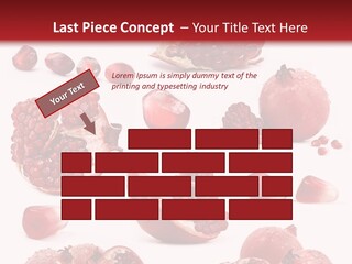 Half Core Arils PowerPoint Template