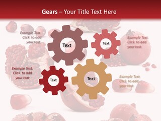 Half Core Arils PowerPoint Template