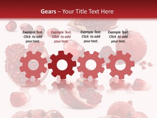 Half Core Arils PowerPoint Template