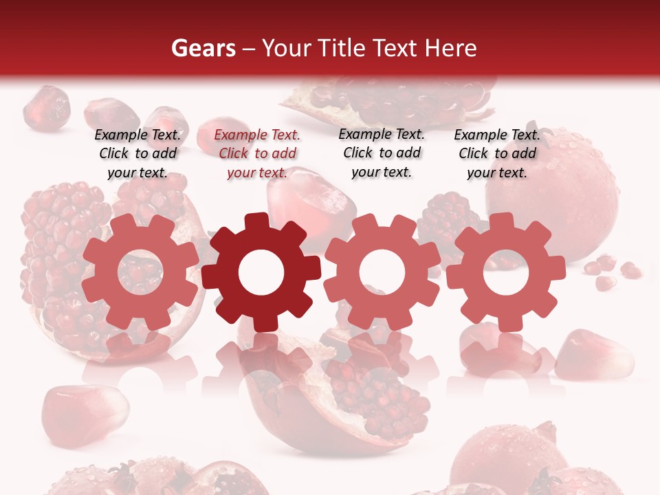 Half Core Arils PowerPoint Template