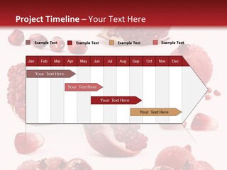 Half Core Arils PowerPoint Template
