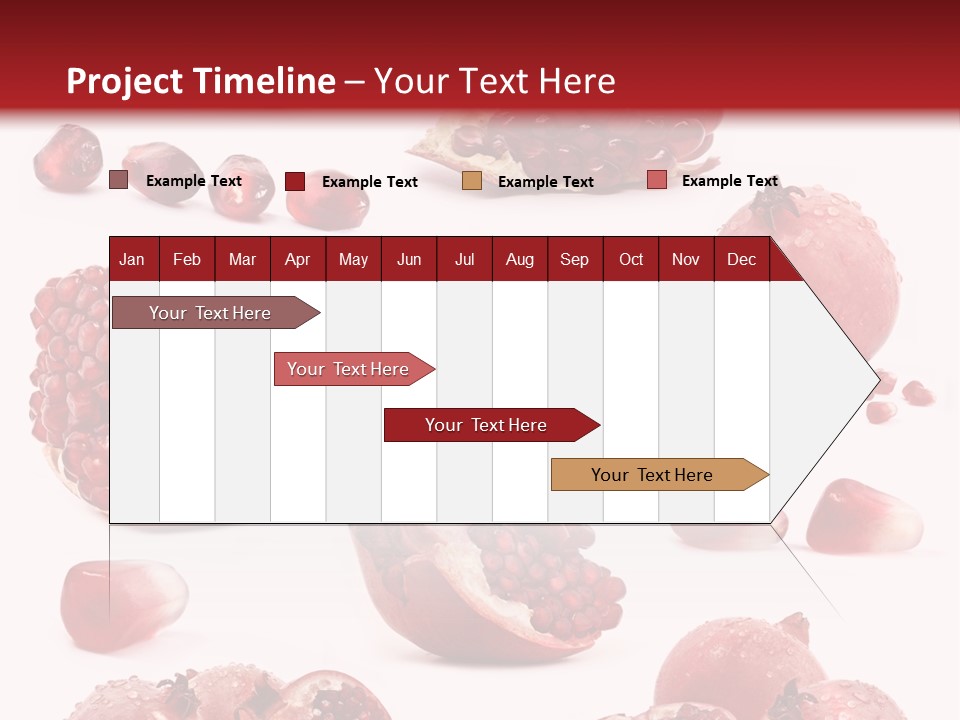 Half Core Arils PowerPoint Template