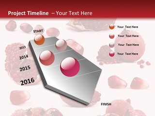 Half Core Arils PowerPoint Template