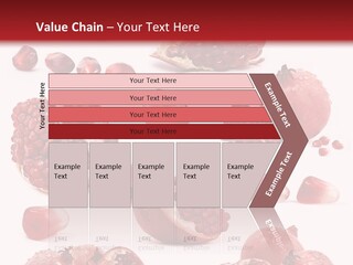 Half Core Arils PowerPoint Template