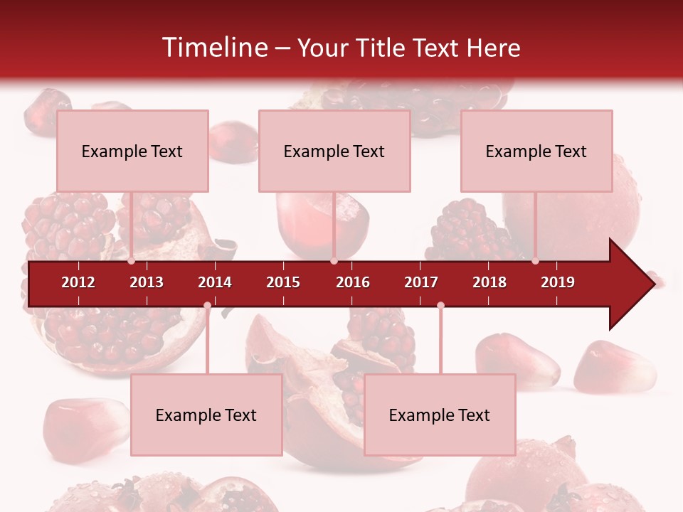 Half Core Arils PowerPoint Template