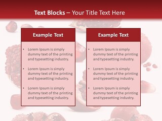 Half Core Arils PowerPoint Template