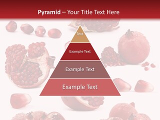 Half Core Arils PowerPoint Template