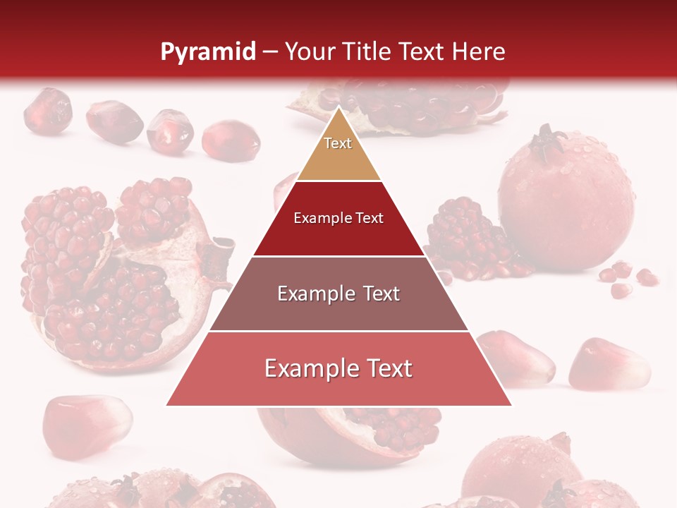 Half Core Arils PowerPoint Template
