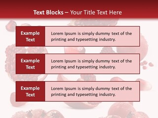 Half Core Arils PowerPoint Template