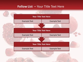 Half Core Arils PowerPoint Template