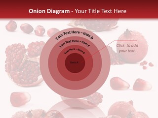 Half Core Arils PowerPoint Template
