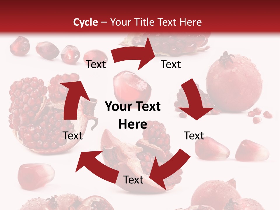 Half Core Arils PowerPoint Template