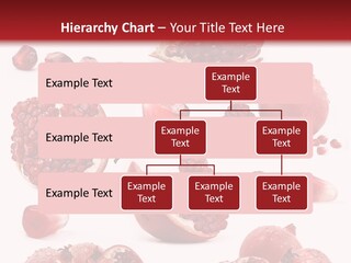 Half Core Arils PowerPoint Template