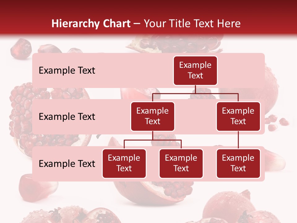 Half Core Arils PowerPoint Template