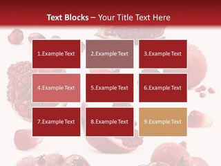 Half Core Arils PowerPoint Template