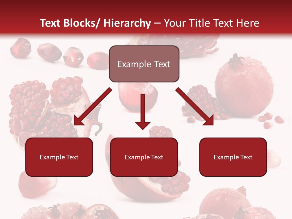 Half Core Arils PowerPoint Template