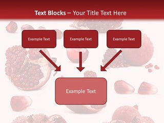 Half Core Arils PowerPoint Template