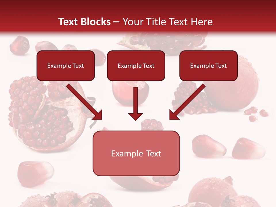 Half Core Arils PowerPoint Template