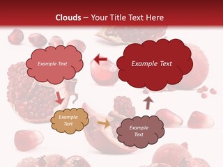 Half Core Arils PowerPoint Template