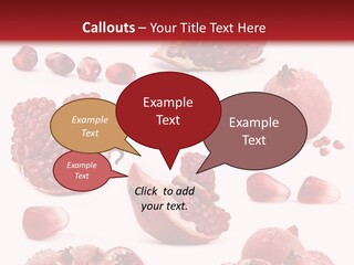 Half Core Arils PowerPoint Template