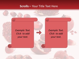 Half Core Arils PowerPoint Template
