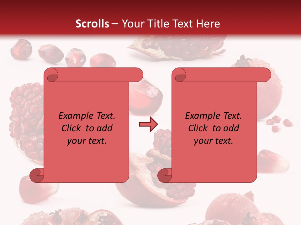 Half Core Arils PowerPoint Template