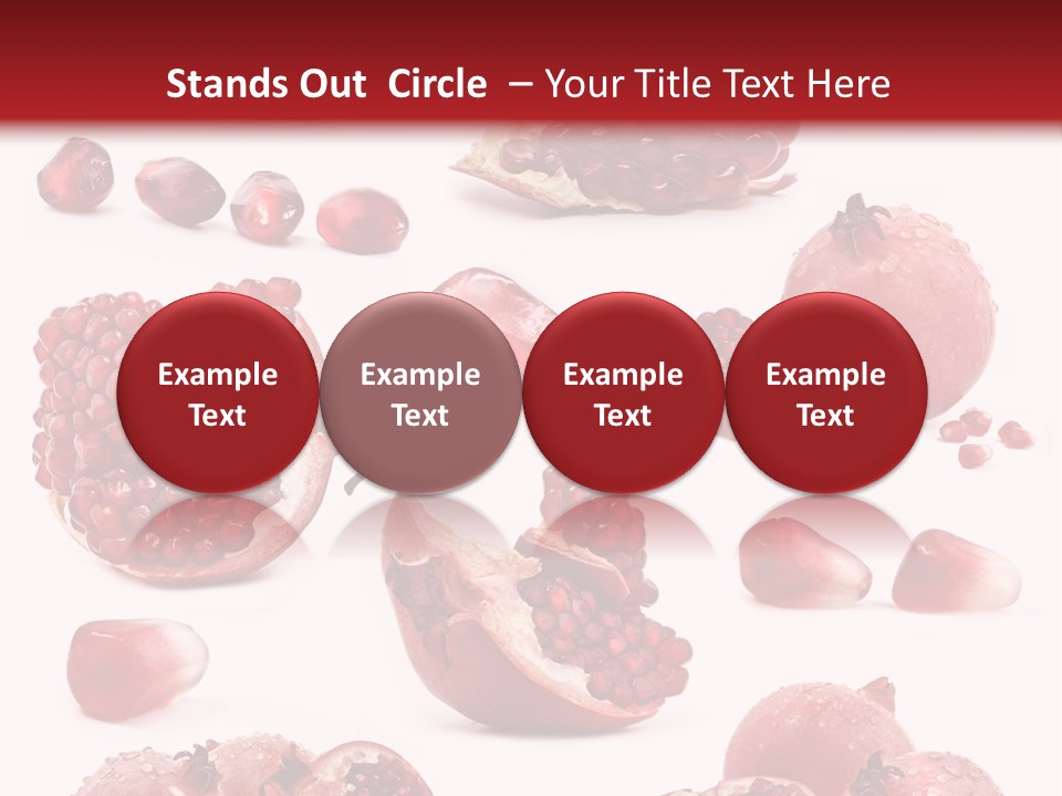 Half Core Arils PowerPoint Template