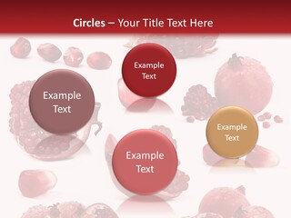 Half Core Arils PowerPoint Template