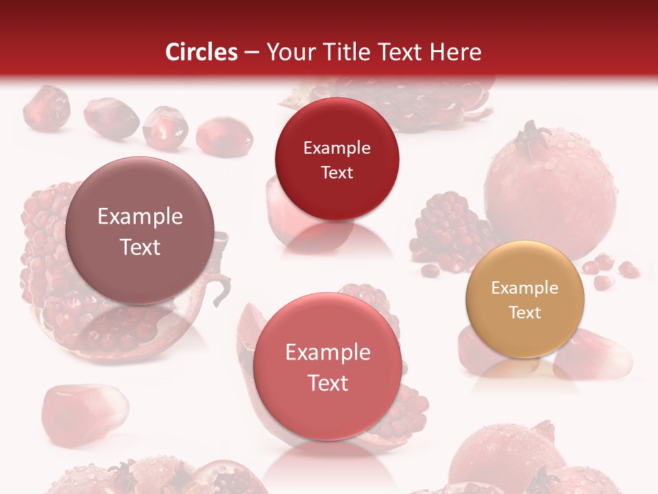 Half Core Arils PowerPoint Template